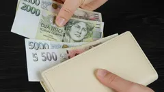 Miliony jásají: nebudou muset platit tento státní poplatek a ušetří tisíce korun. Týká se to i vás?